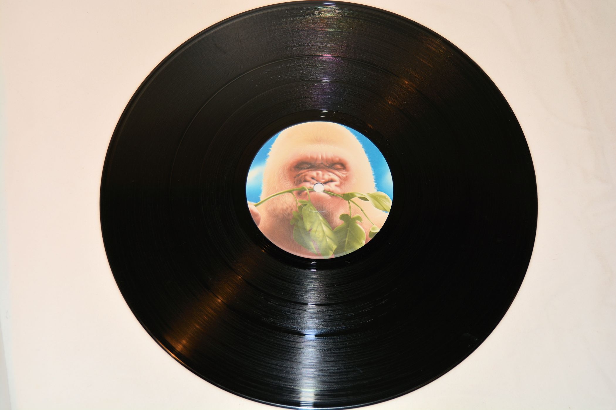 Basement Jaxx - Rooty – Joe's Albums