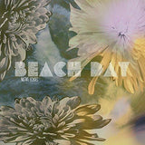 Beach Day - Native Echoes
