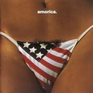 Black Crowes vinyl record cover for 'Amorica' showing the midriff and bikini bottom of a woman. The bikini is a take on the American flag with short and curlys sticking out the top of it.