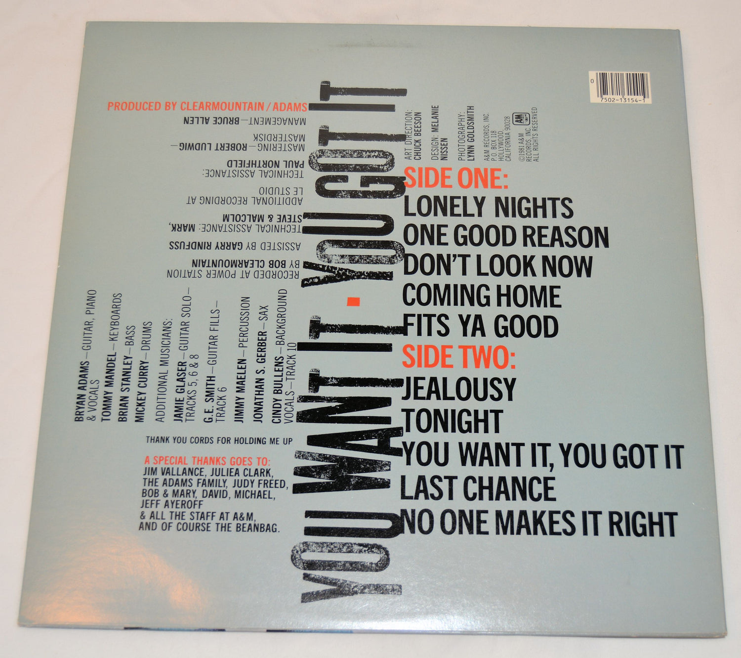 Adams, Bryan - You Want It, You Got It