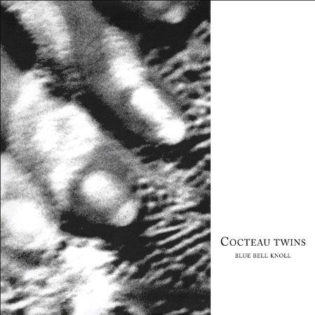 This image features the album cover of "Blue Bell Knoll" by the Cocteau Twins. The artwork is monochrome and depicts an abstract, textured image that is reminiscent of organic forms, possibly plants or foliage.