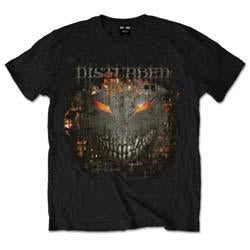 Disturbed - Fire Behind