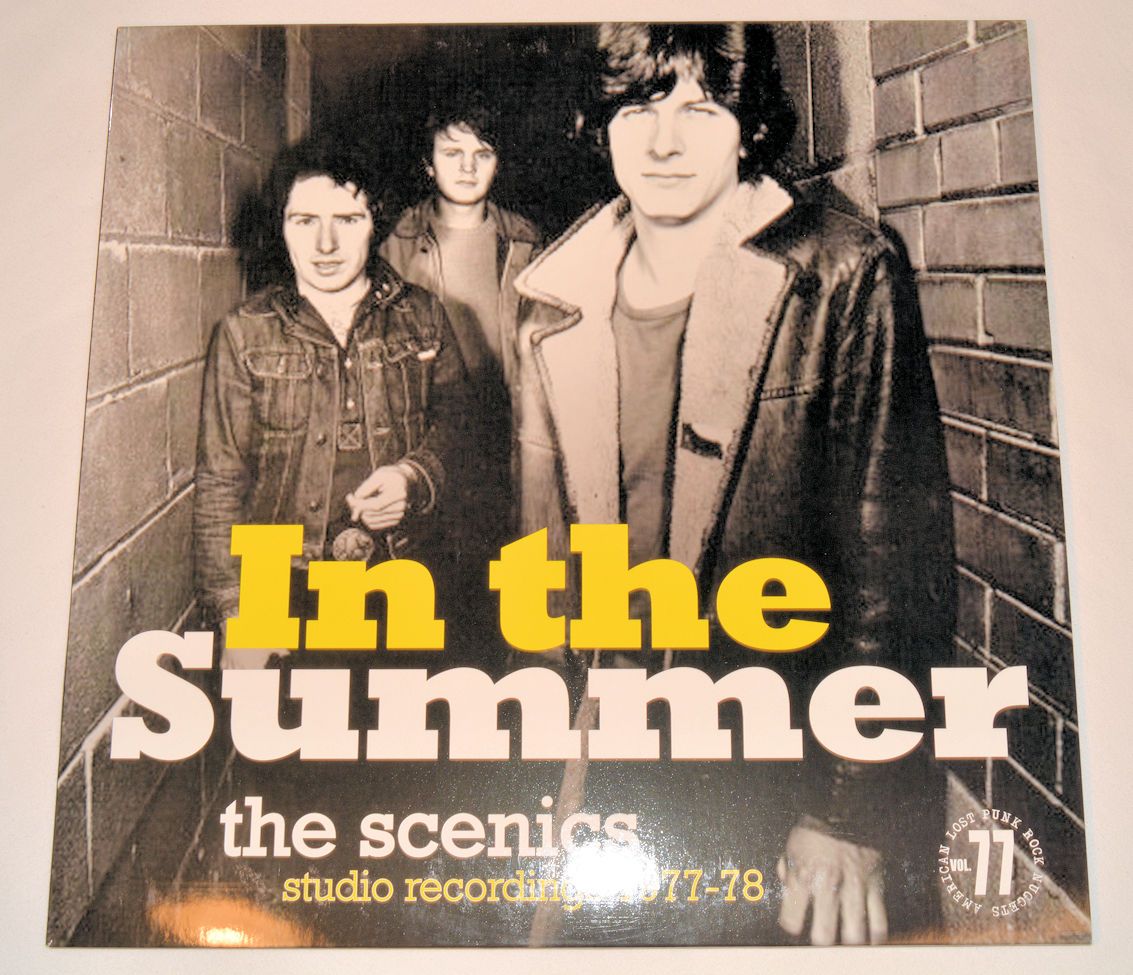 Scenics, The - In The Summer (Studio Recordings 1977-1978)