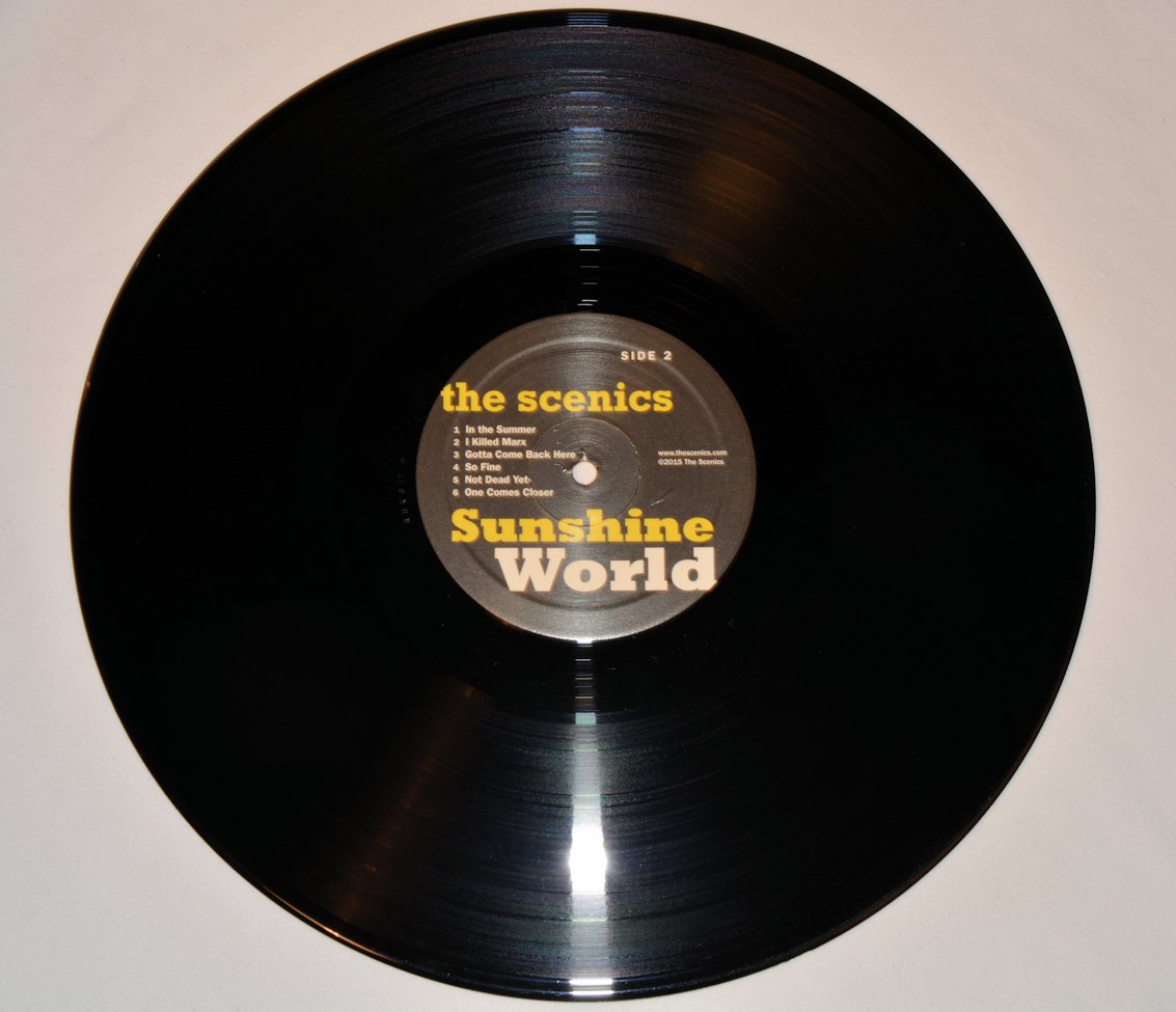 Scenics, The - In The Summer (Studio Recordings 1977-1978)