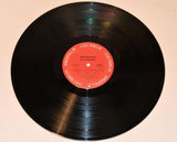 Mountain - Avalanche