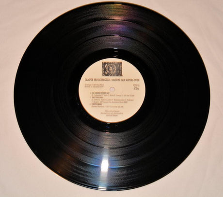 Camper Van Beethoven - Vampire Can Mating Oven