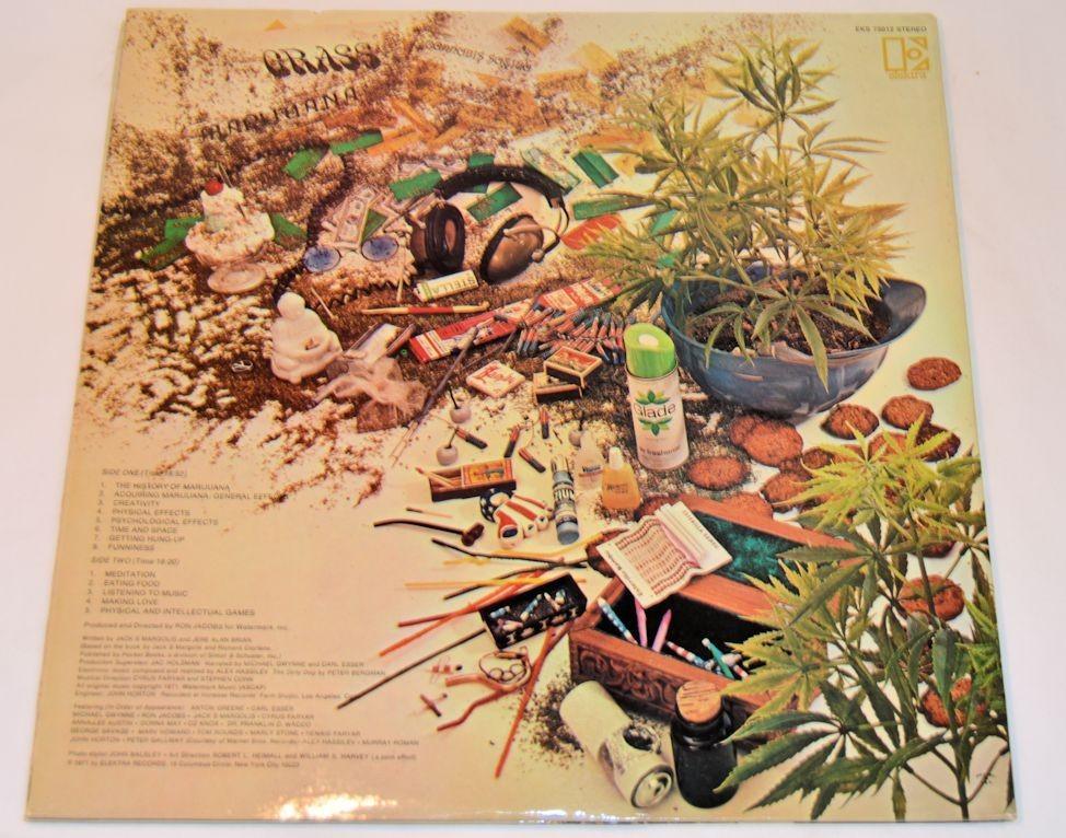 A Child's Garden Of Grass