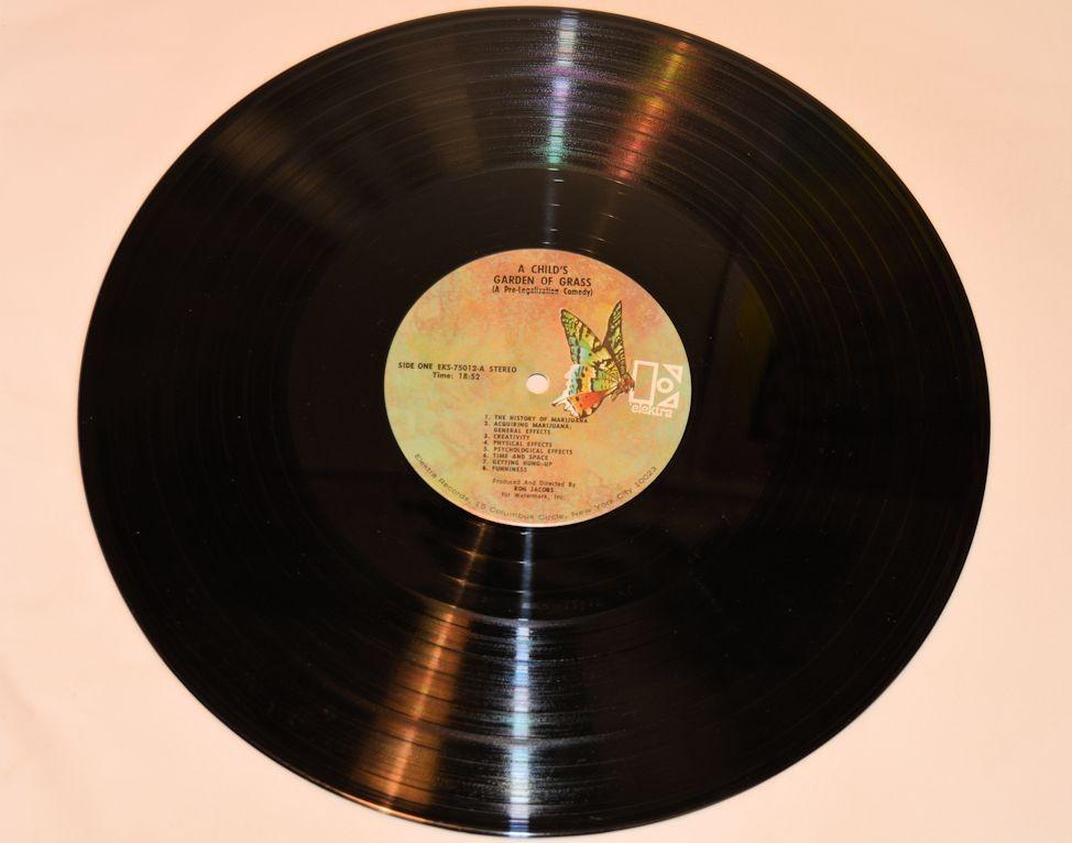 A Child's Garden Of Grass