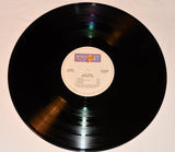 Stern, Leni - The Next day