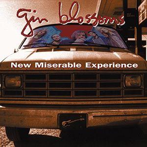 Album cover of Gin Blossoms - New Miserable Experience featuring a van with the band's name and album title written on the front, with members of the band inside the van.