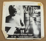 Notes, The - Rough School Year