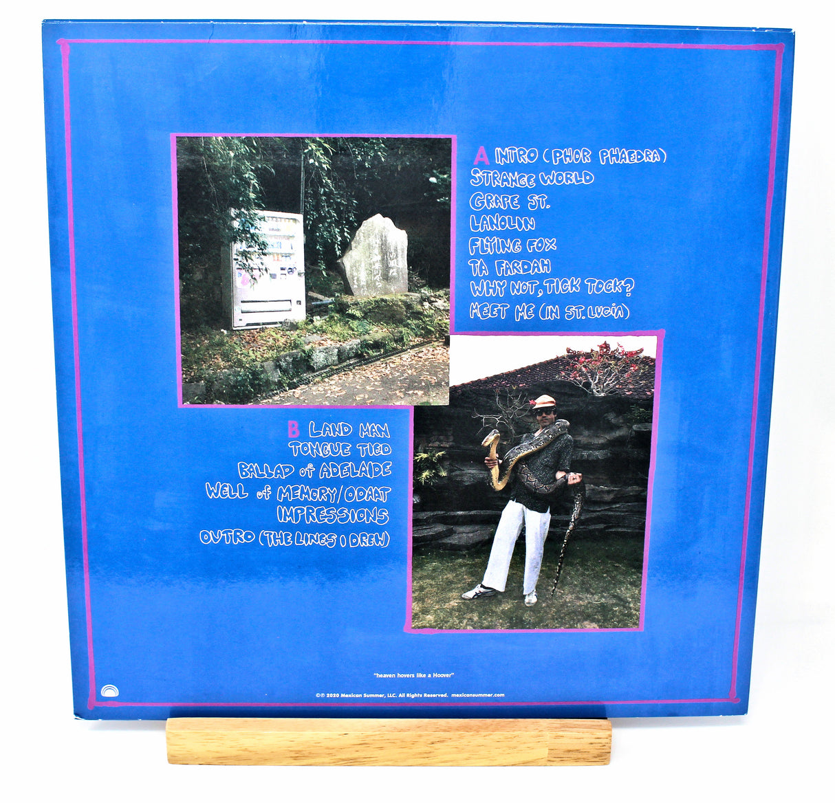 Paint - Spiritual Vegas