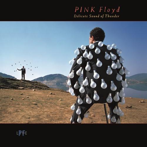 Album cover for 'Delicate Sound of Thunder' by Pink Floyd featuring a person with lightbulbs and another person in the distance.