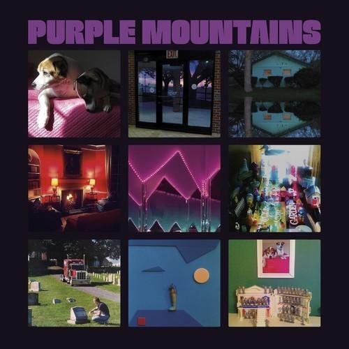 Album cover for Purple Mountains featuring a collage of various images, including a dog lying down, a person sitting on a bench, and different indoor settings.