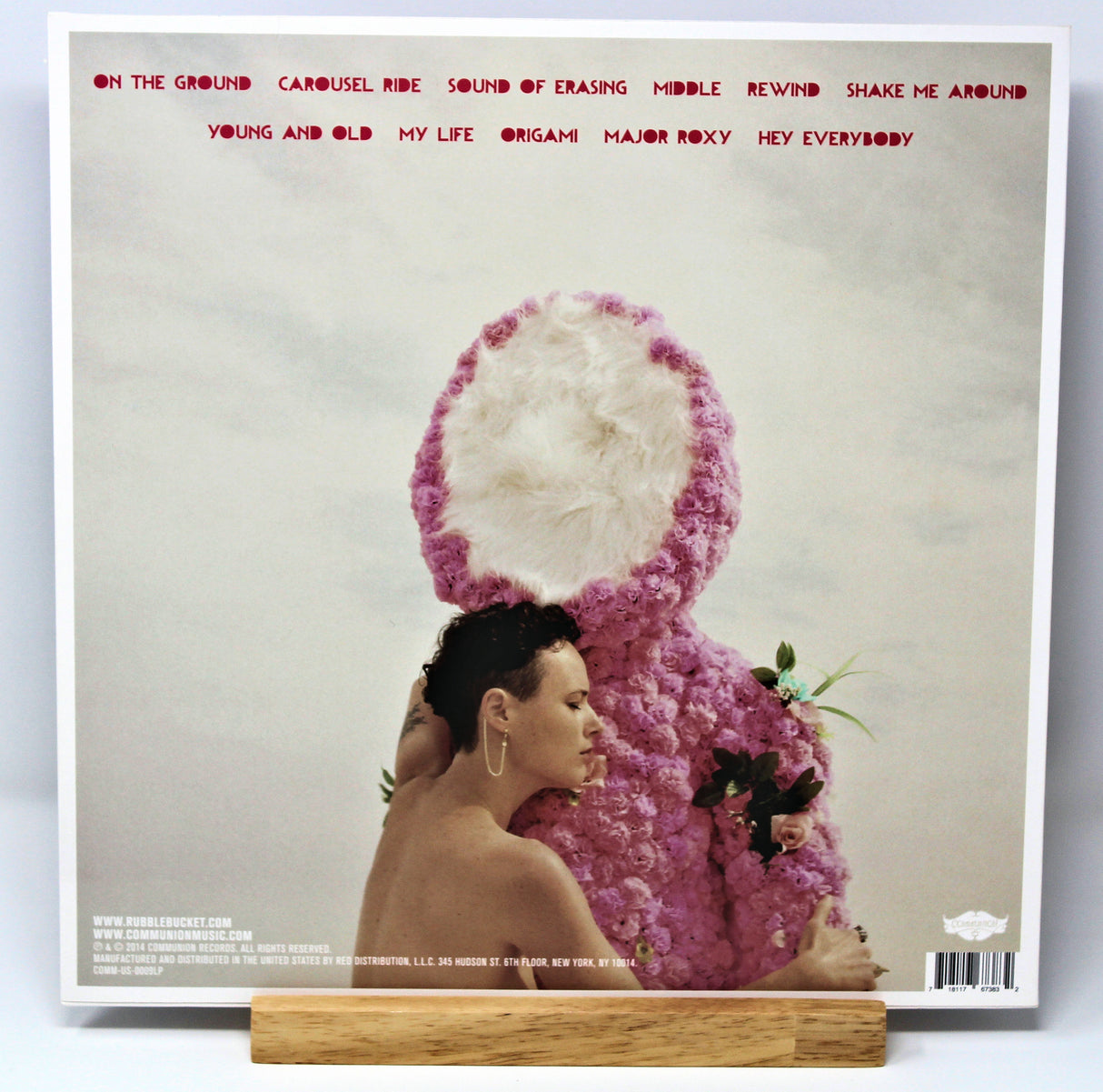 Rubblebucket – Survival Sounds