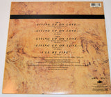 Astley, Rick - Giving Up On Love