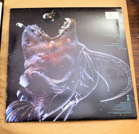 Shriekback – Oil And Gold