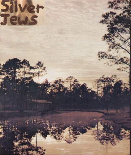 Album cover with 'Silver Jews' text over a landscape with trees and water.