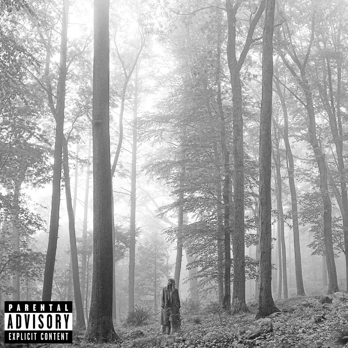 A beige vinyl record labeled 'Folklore' by Taylor Swift, with an image of a person in a woodsy setting on the cover.