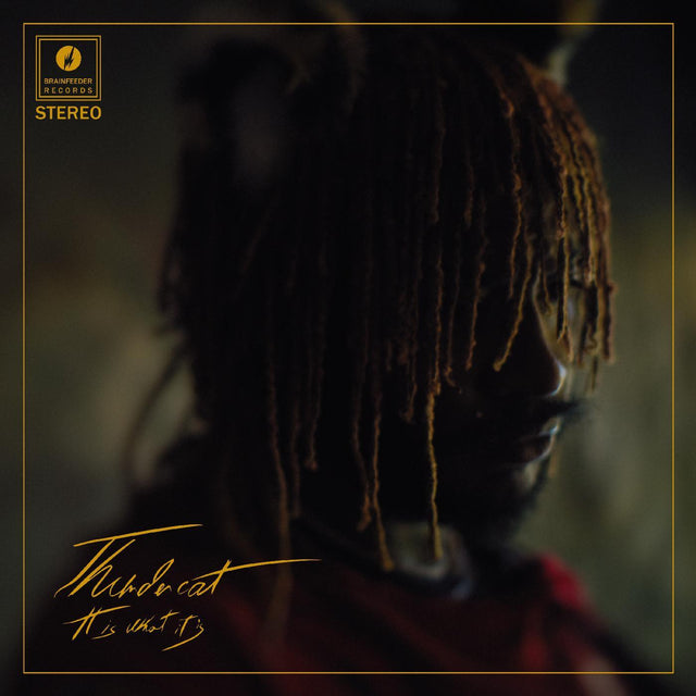 Vinyl record with a cover featuring a silhouette of a person with braided hair and text.