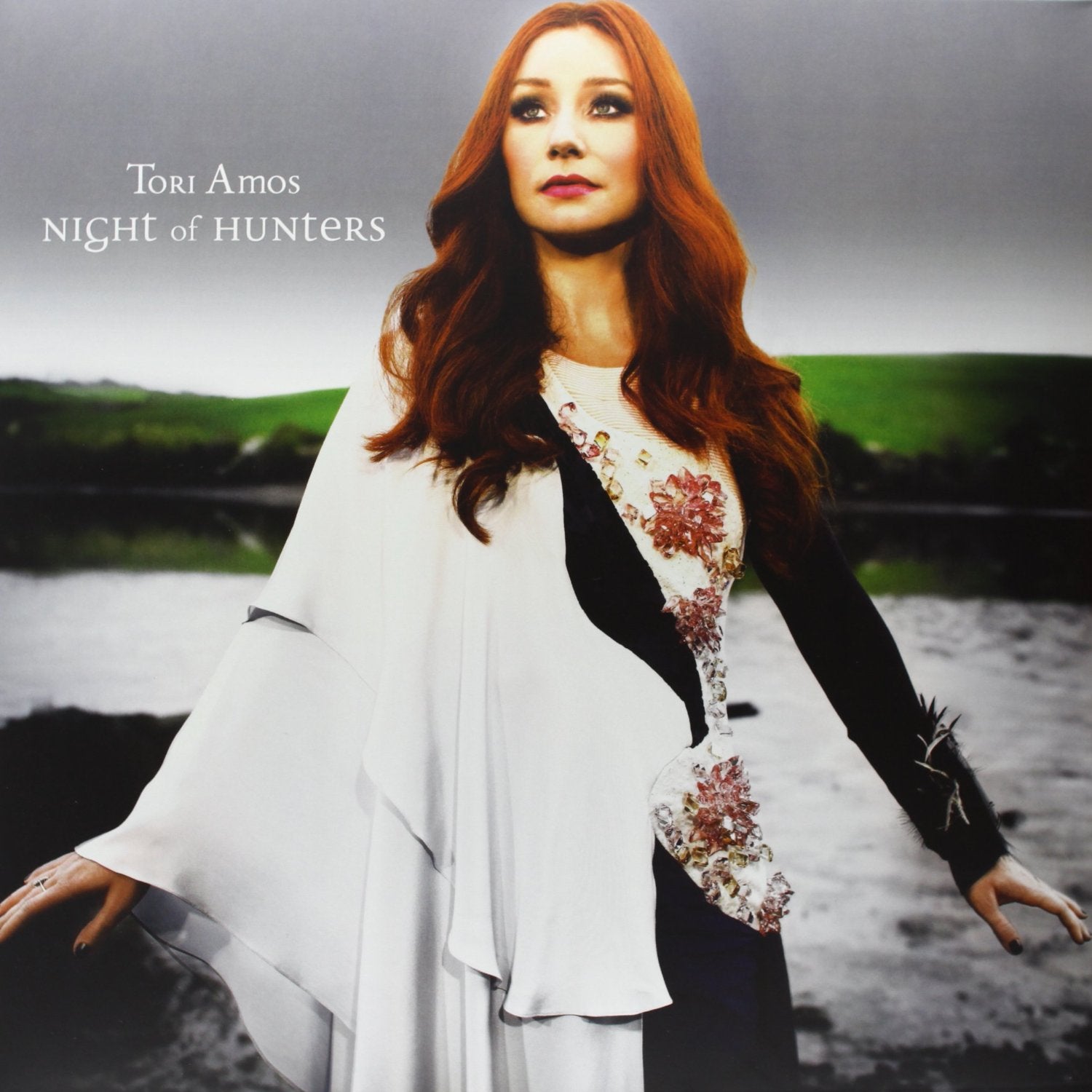 Amos, Tori - Night Of Hunters