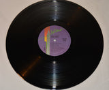 Belew, Adrian - Lone Rhino