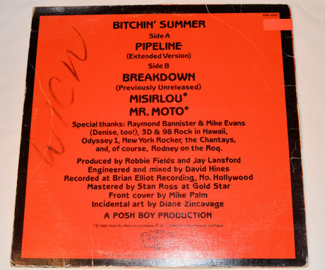 Agent Orange - Bitchin' Summer