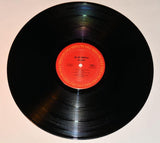 Di Meola, Al - Casino