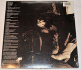 Di Meola, Al - Scenario