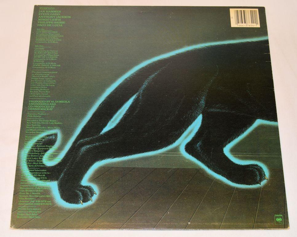 Di Meola, Al - Electric Rendezvous