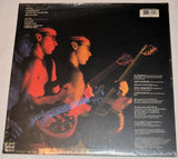 Di Meola, Al - Soaring Through A Dream
