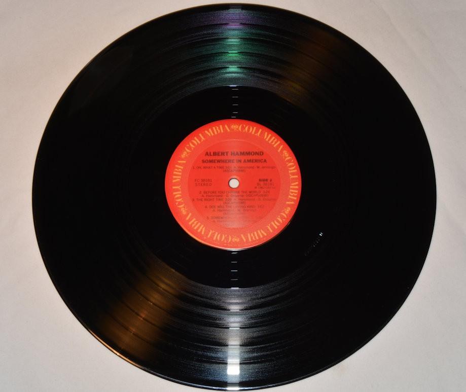 Hammond, Albert - Somewhere In America