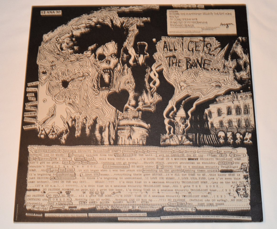 Alien Sex Fiend - I'm Doing Time In A Maximum Security Twilight Home