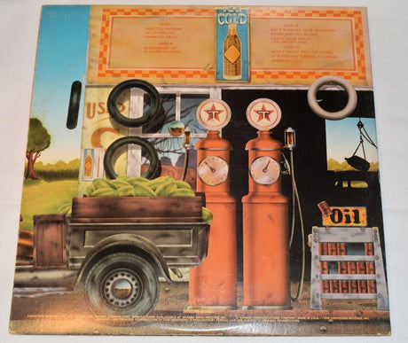 Allman Brothers, The - Wipe The Windows