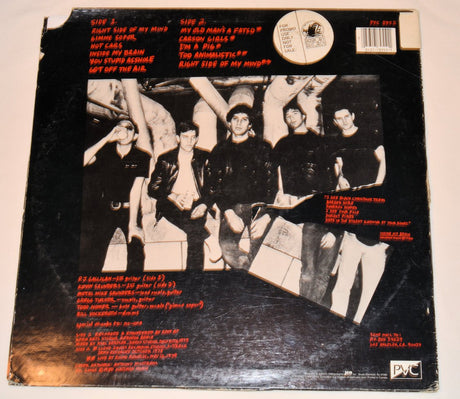 Angry Samoans - Inside My Brain