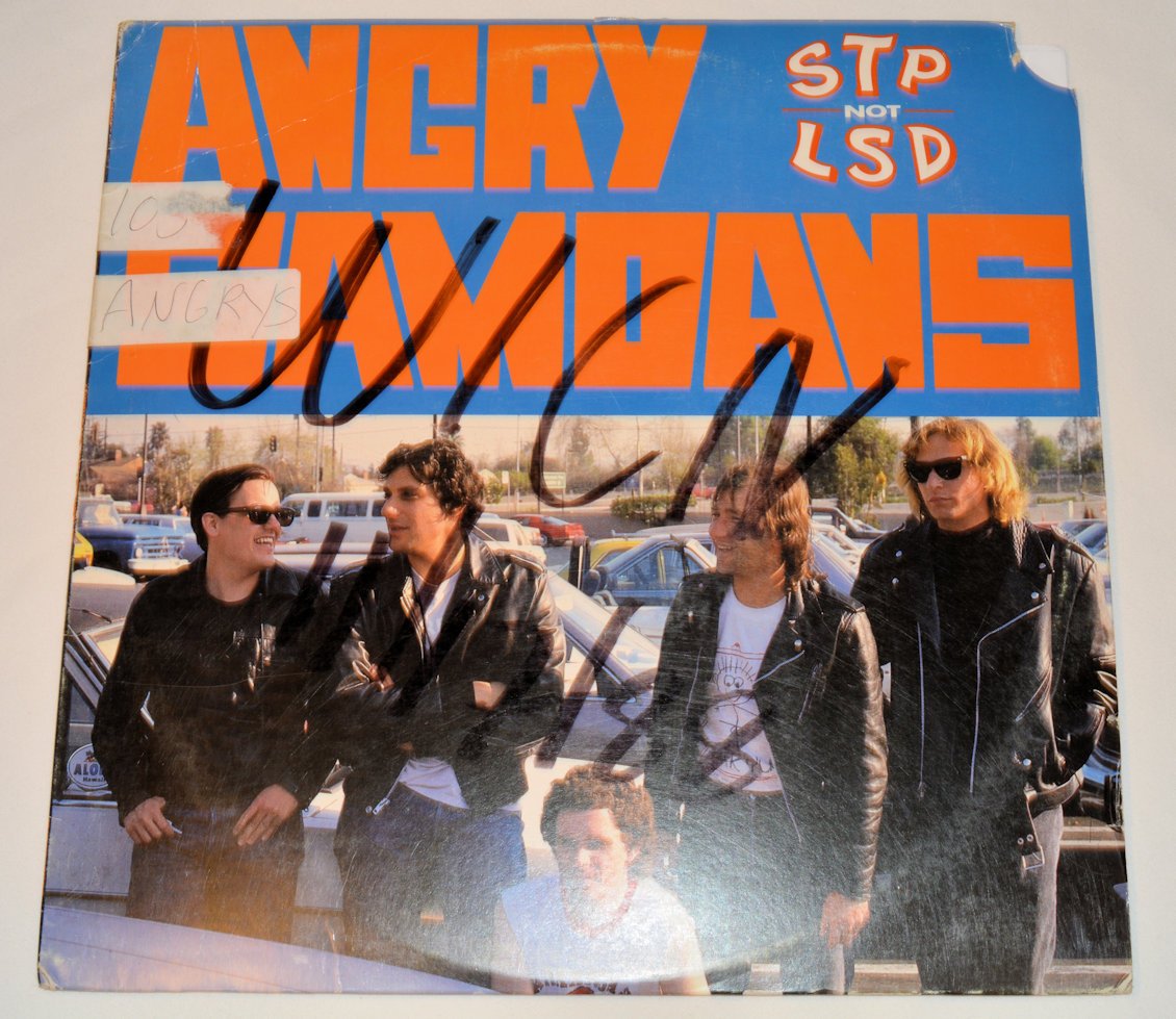 Angry Samoans - STP Not LSD