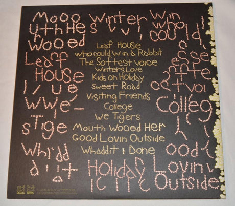 Animal Collective - Sung Tongs