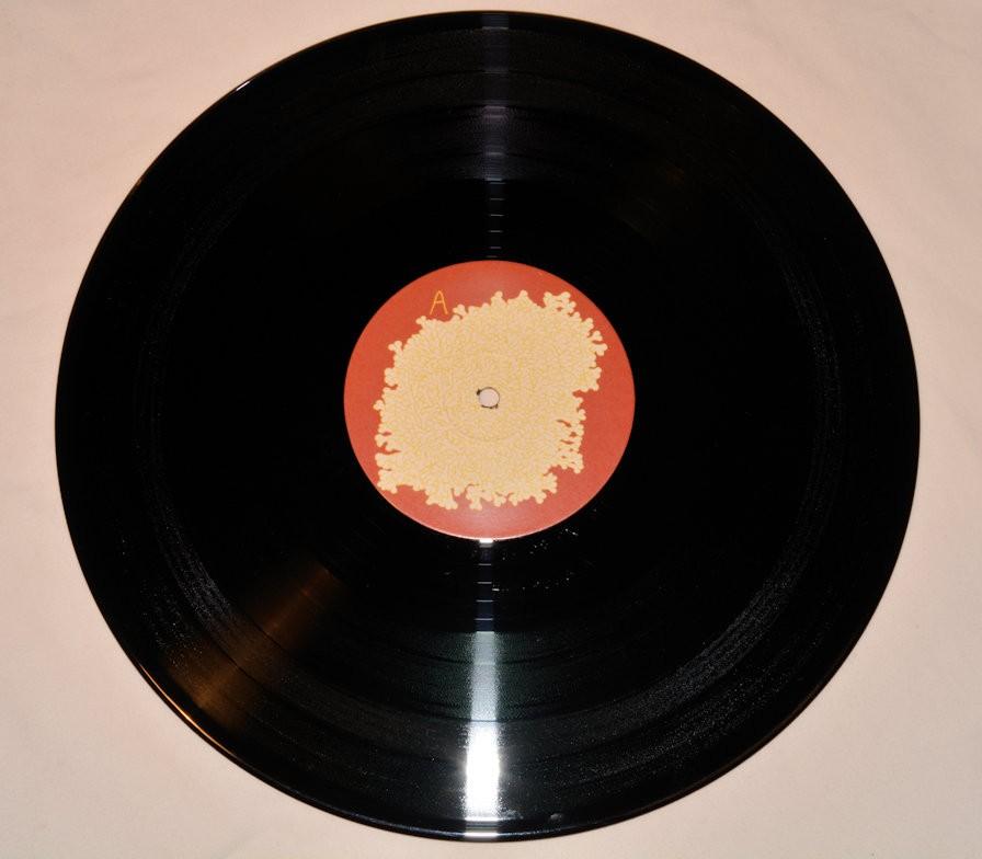 Animal Collective - Sung Tongs