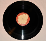 Animal Collective - Sung Tongs