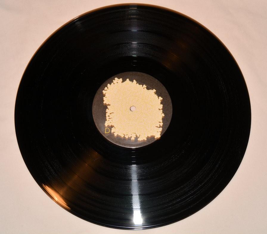 Animal Collective - Sung Tongs