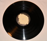 Animal Collective - Sung Tongs