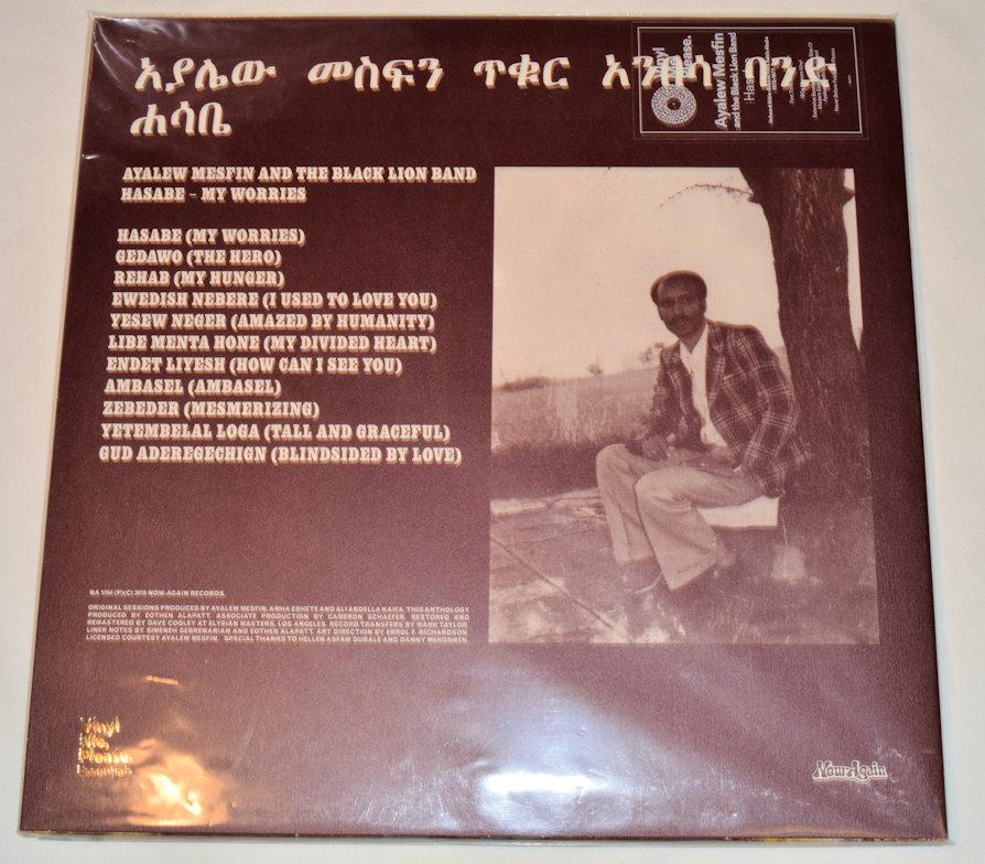 Mesfin, Ayalew - My Worries