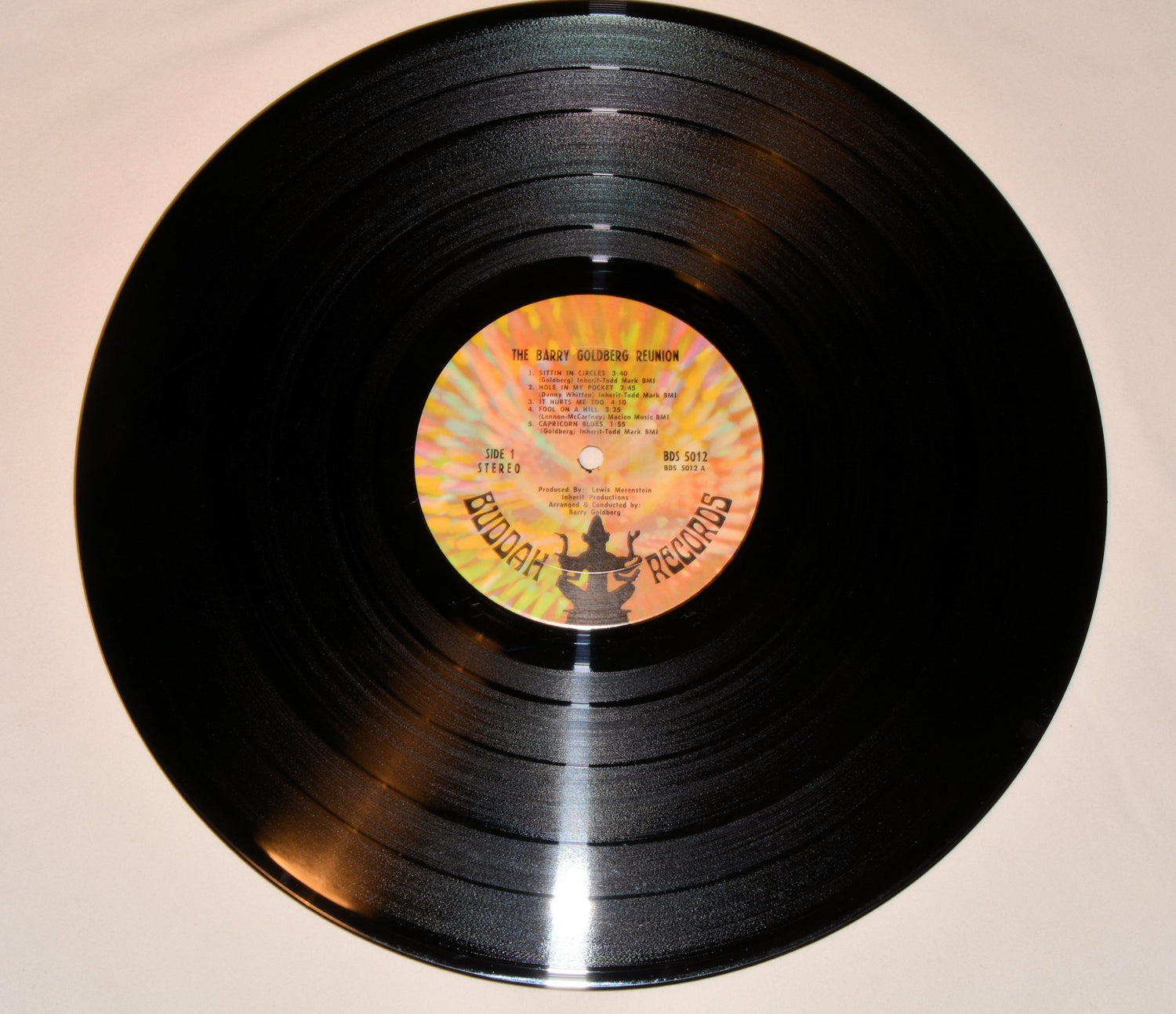 Goldberg, Barry - Barry Goldberg Reunion