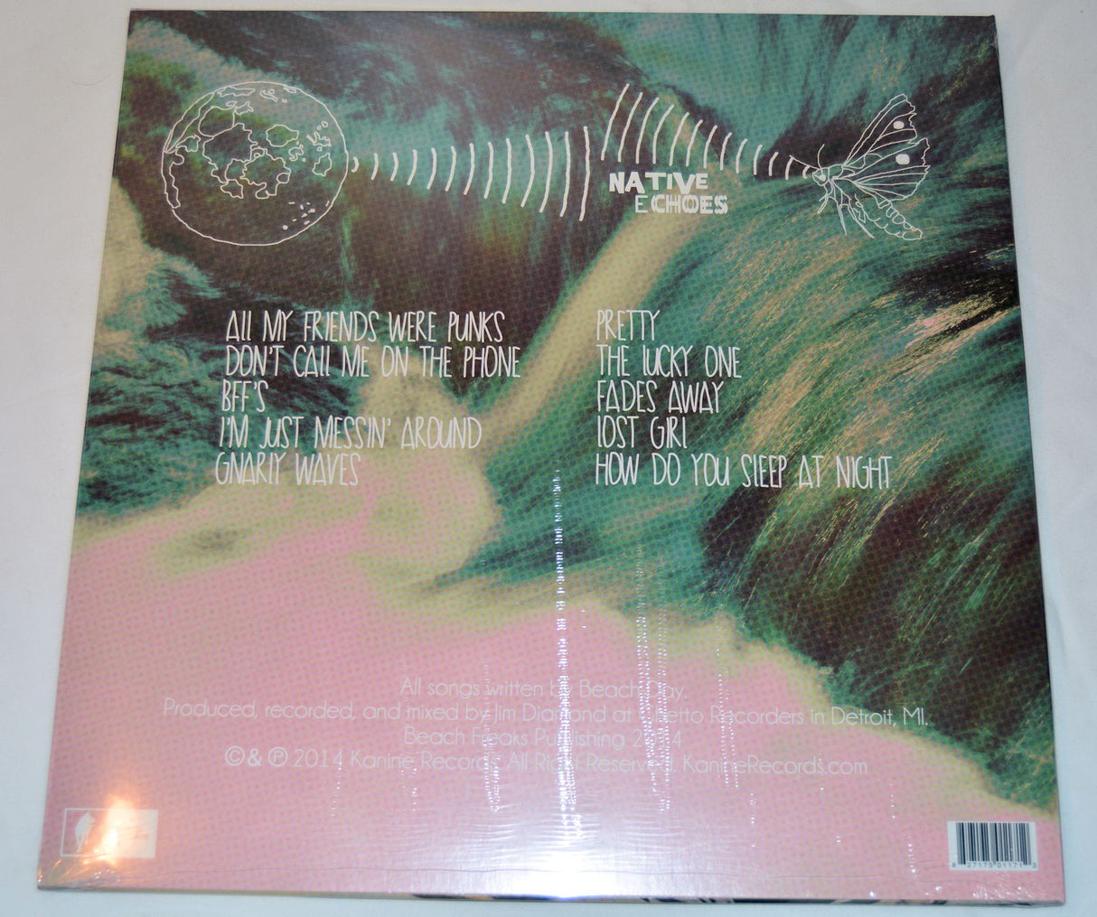 Beach Day - Native Echoes