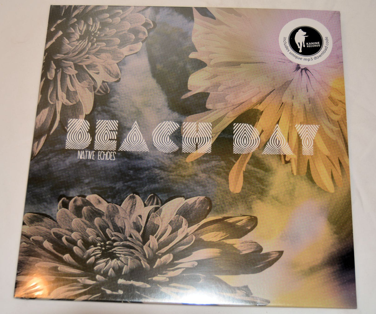 Beach Day - Native Echoes