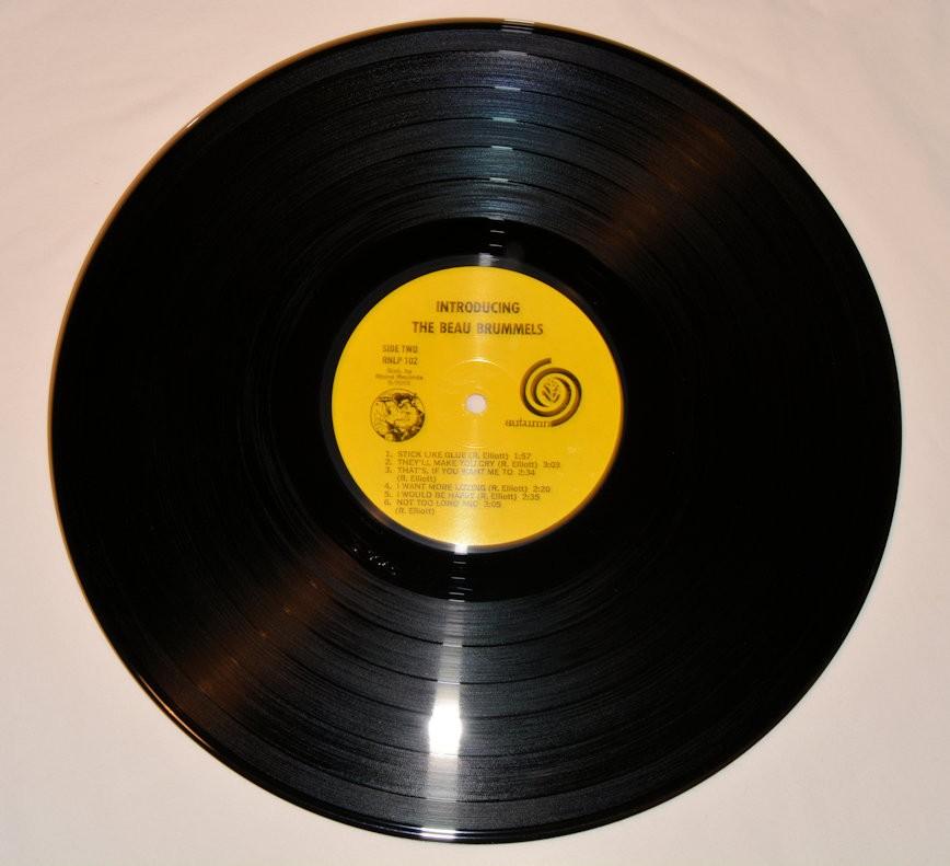 Beau Brummels - Introducing