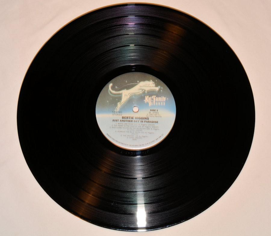 Higgins, Bertie - Just Another Day In Paradise