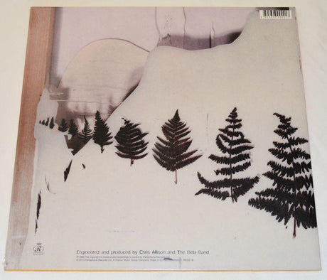 Beta Band - Patty Patty Sound