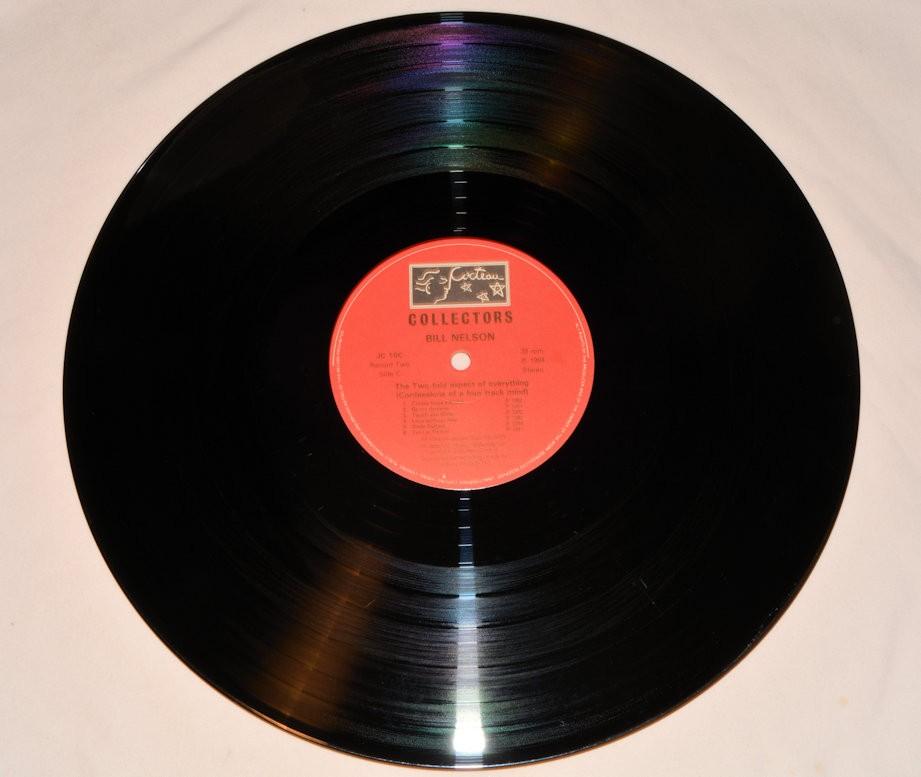 Nelson, Bill - The Two-Fold Aspect Of Everything