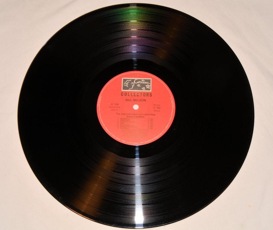 Nelson, Bill - The Two-Fold Aspect Of Everything